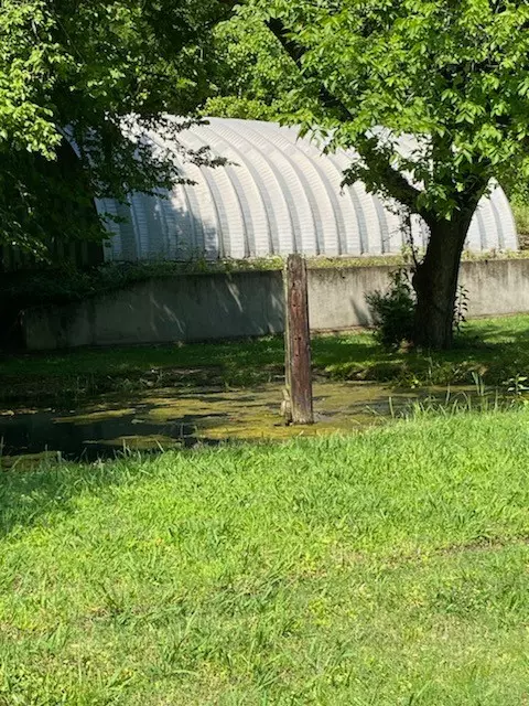 Pulaski, TN 38478,2052 Donahue Creek Rd