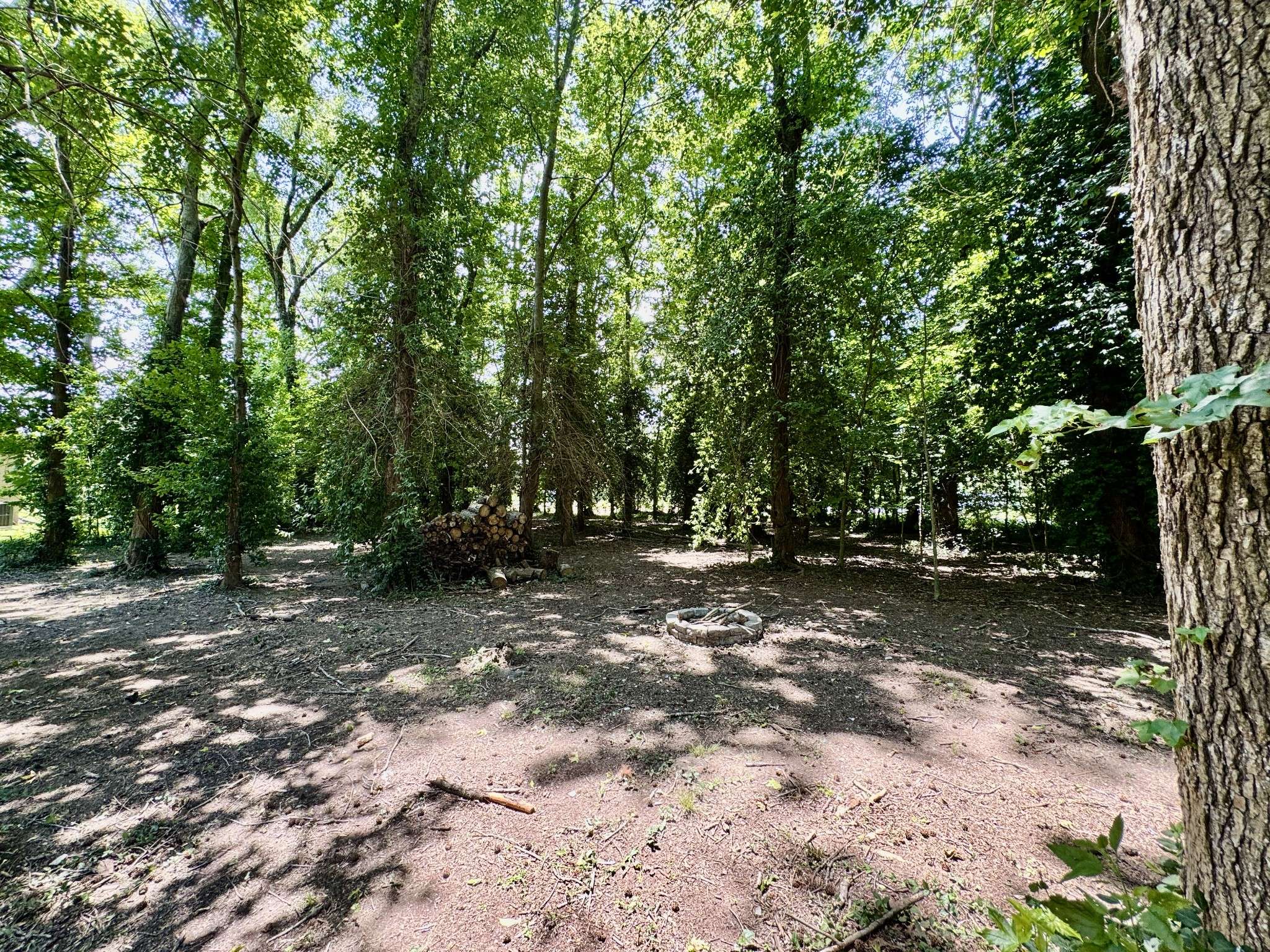 0 Peggy Drive, Cedar Hill, TN 37032