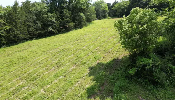 Frankewing, TN 38459,0 Robinson Rd