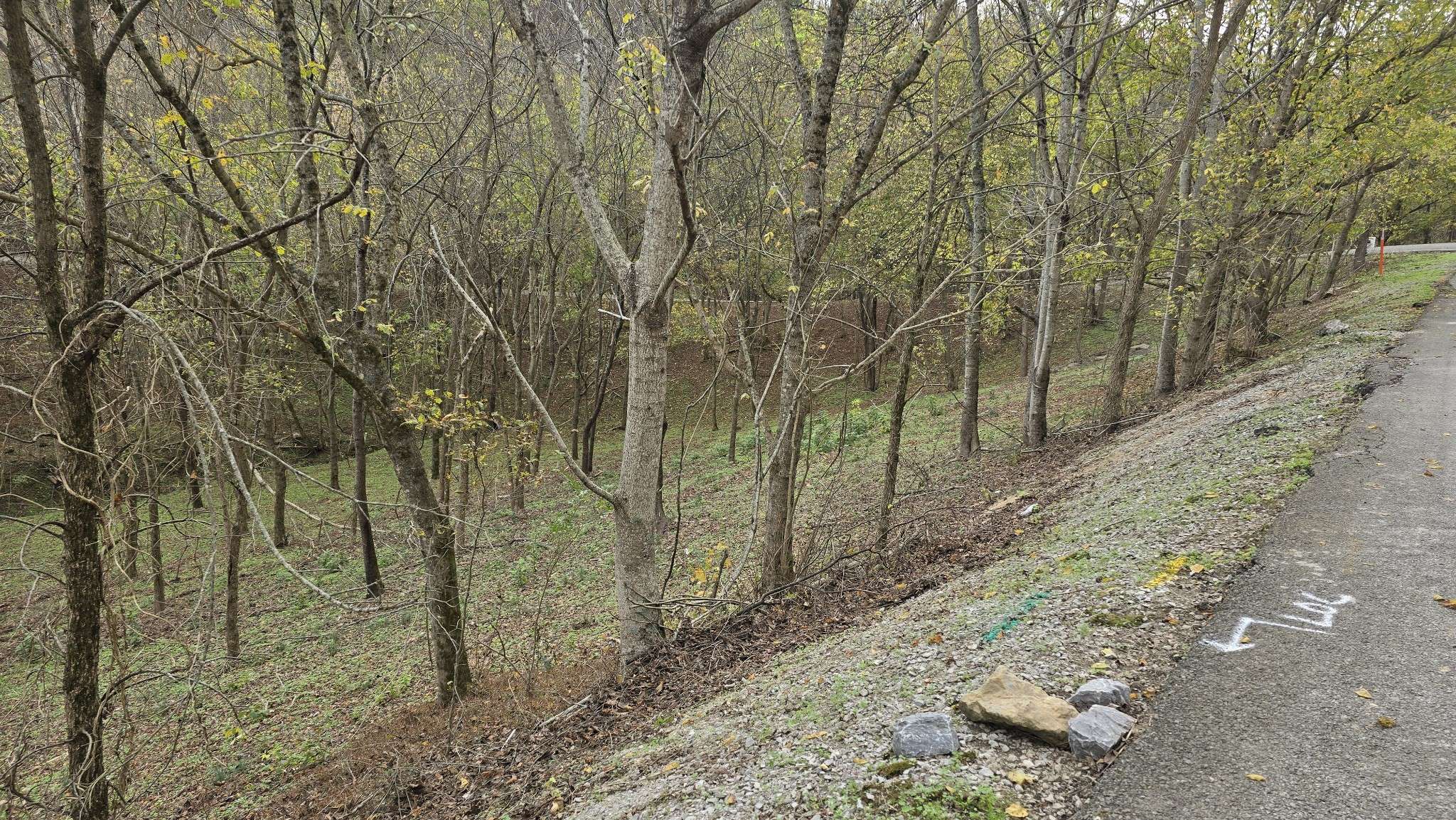 Smithville, TN 37166,85 Blackberry Ridge Way