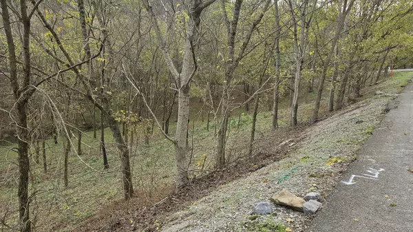 Smithville, TN 37166,86 Blackberry Ridge Way
