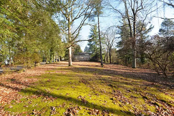 Lookout Mountain, TN 37350,309 W Brow Road