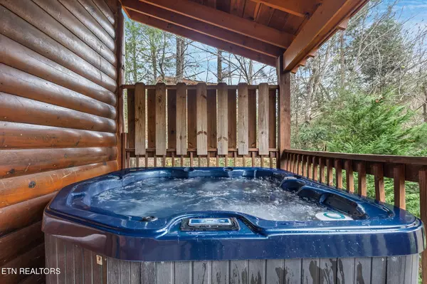 Cosby, TN 37722,203 Amet Way