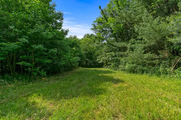 0 Smith Hollow Road, Mount Pleasant, TN 38474