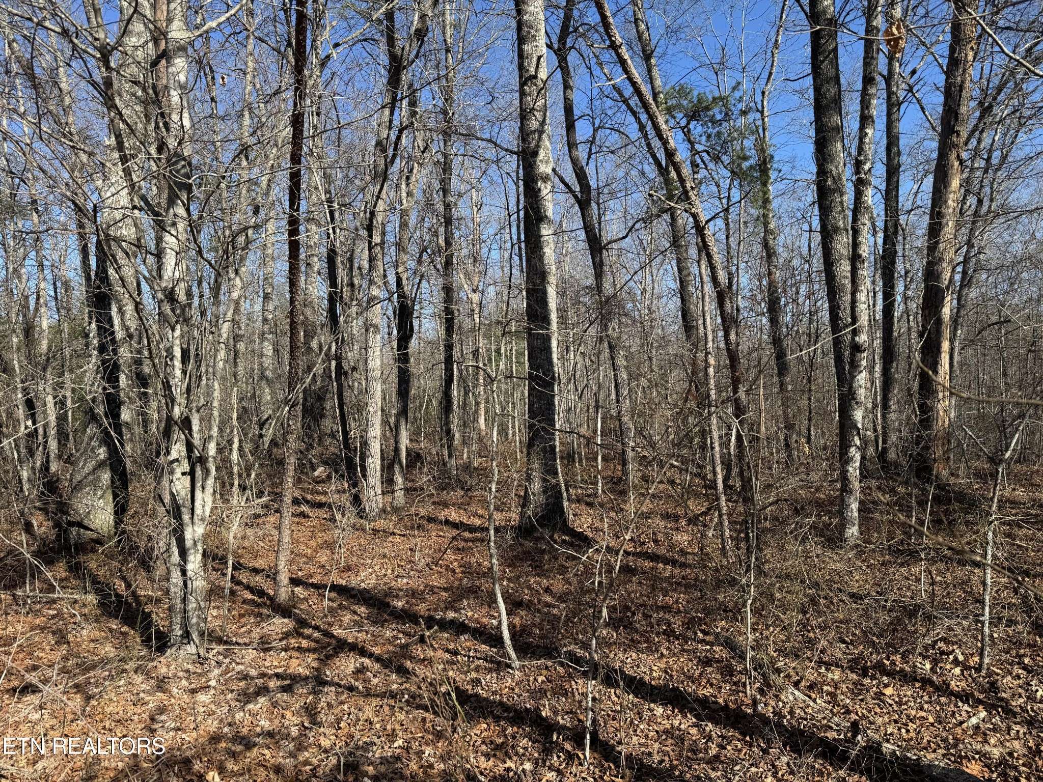 Monterey, TN 38574,4211 Cumberland Lakes Drive