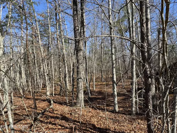 Monterey, TN 38574,4211 Cumberland Lakes Drive