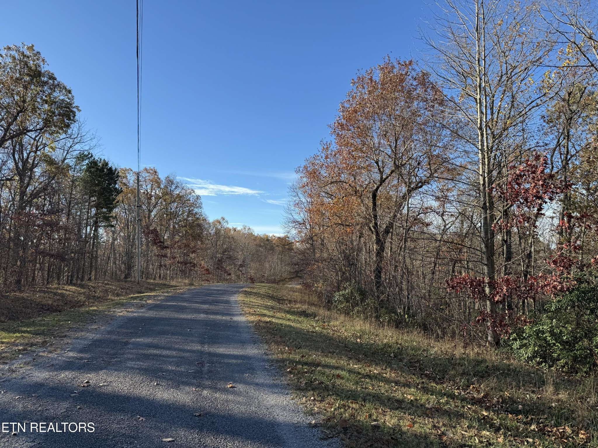 Monterey, TN 38574,0 Bent Tree Rd