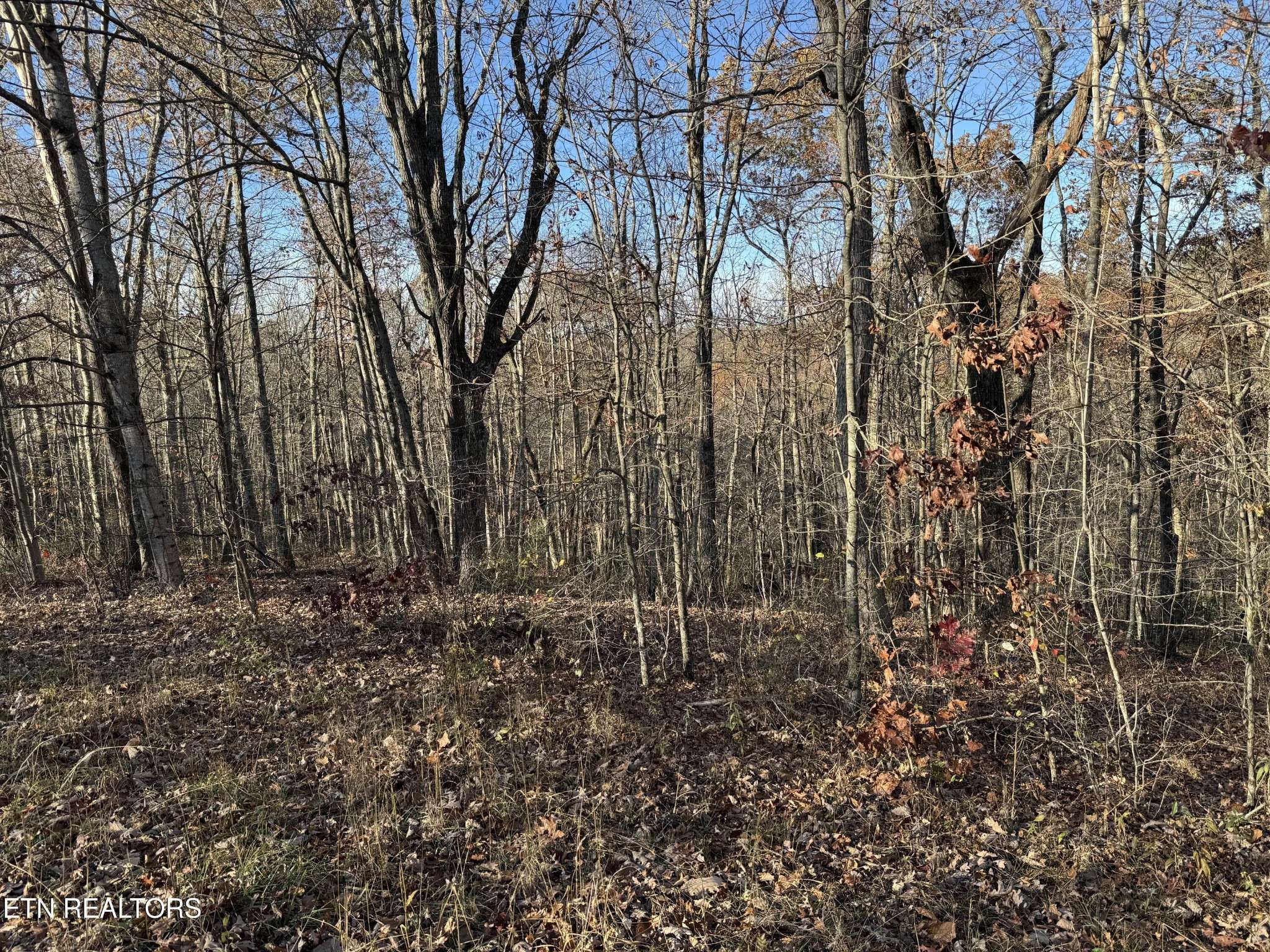 0 Bent Tree Rd, Monterey, TN 38574