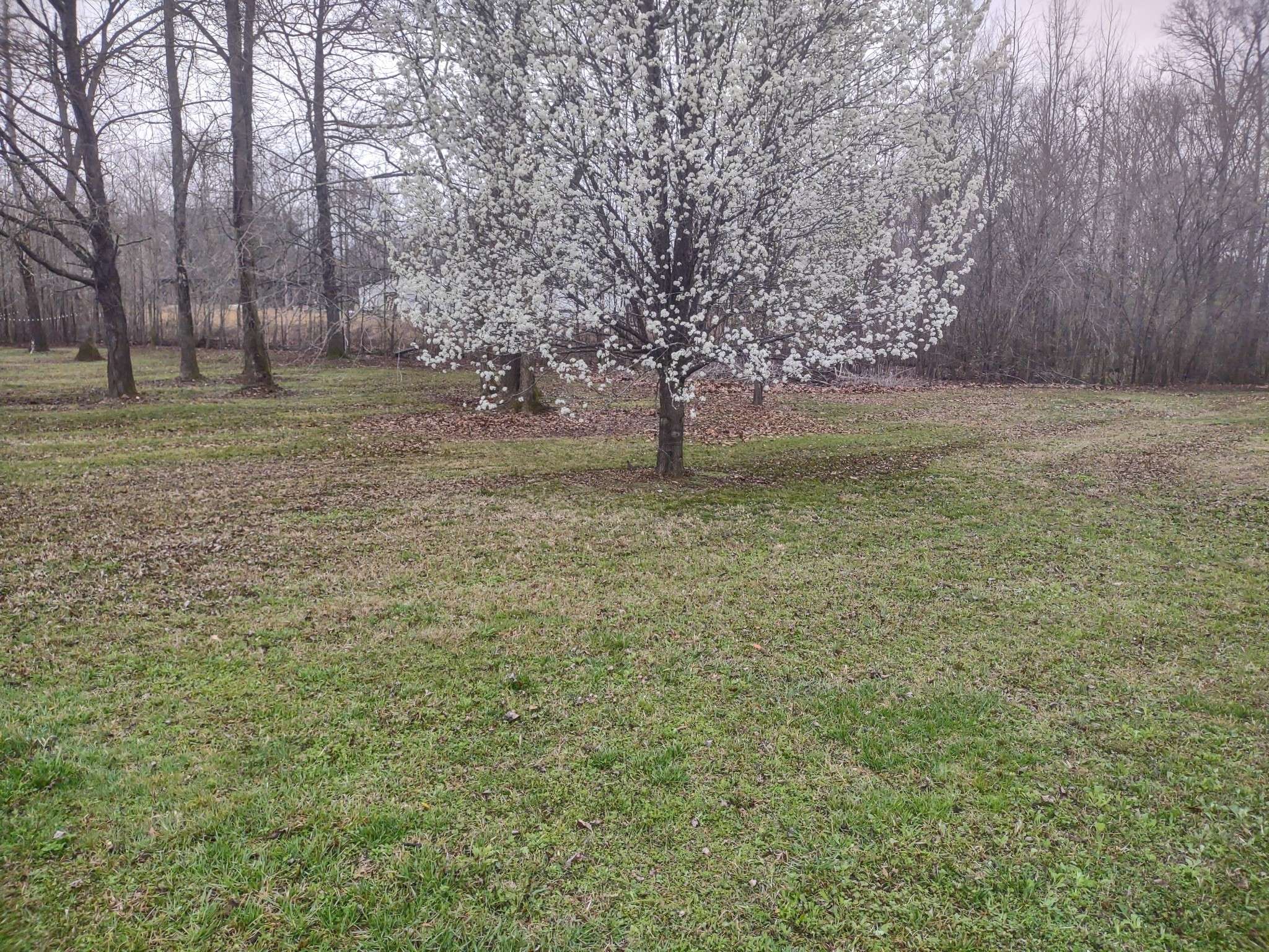 83 Lakeside Ln, Decaturville, TN 38329
