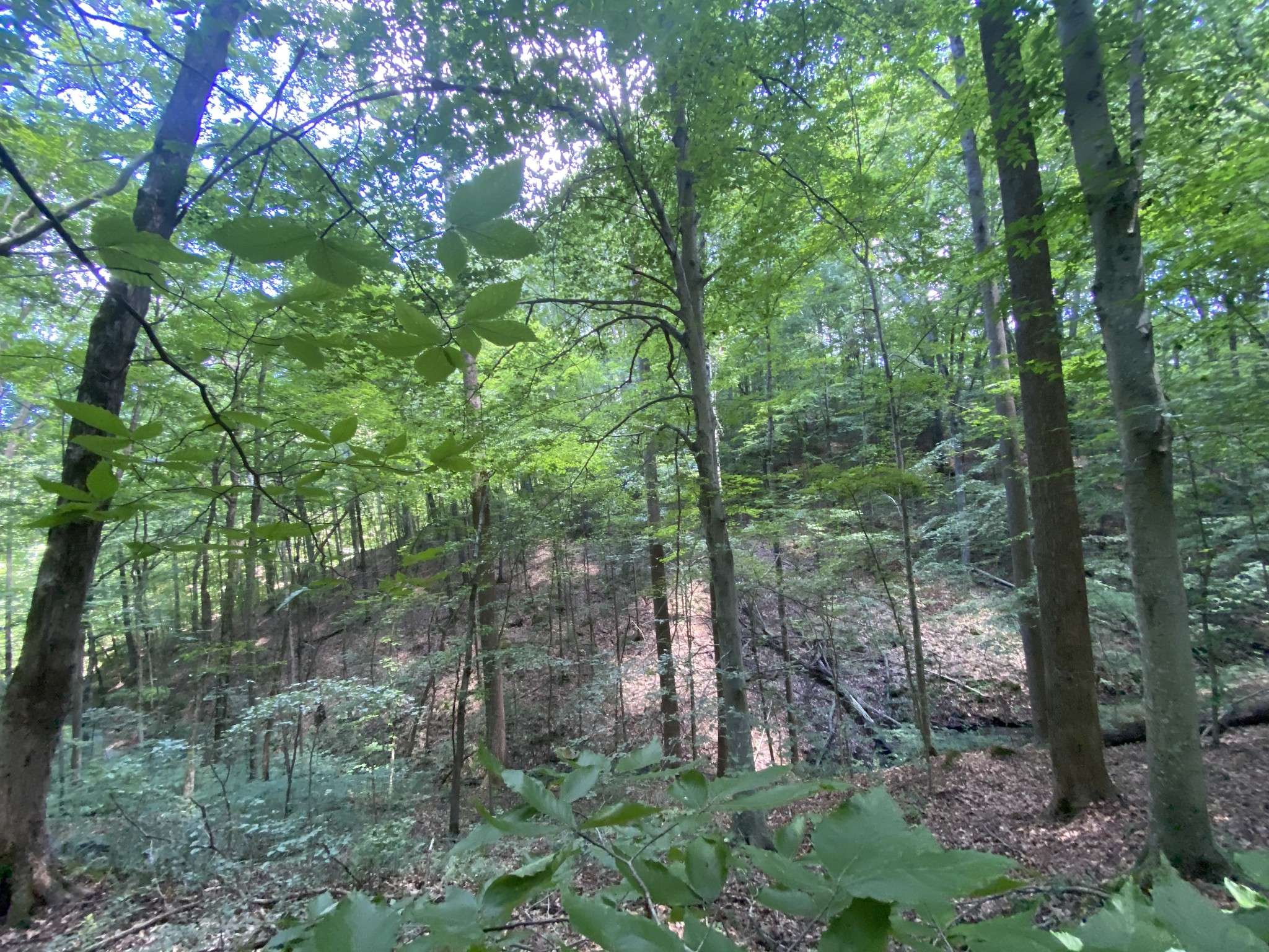 5032 Ridge Hill Dr, Joelton, TN 37080