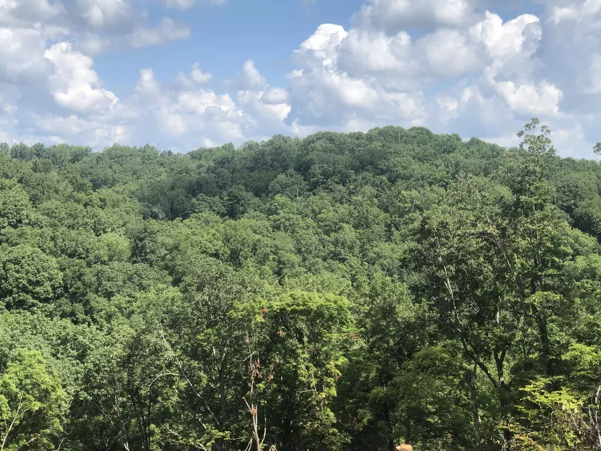 Pegram, TN 37143,1096 Paiute Trail