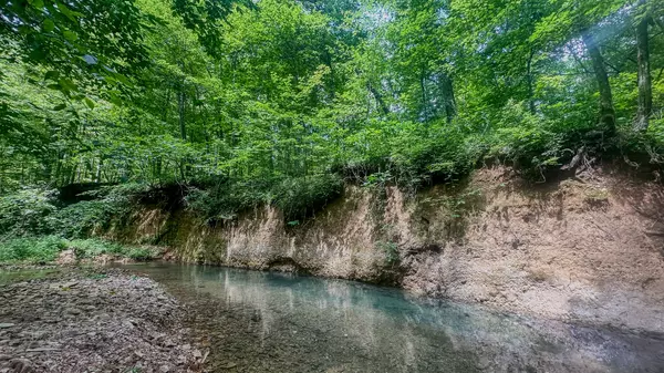 Holladay, TN 38341,0 Birdsong Road