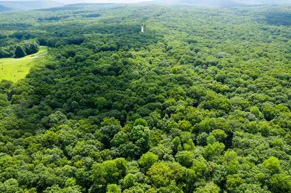 Sewanee, TN 37375,0 Stage Coach Rd