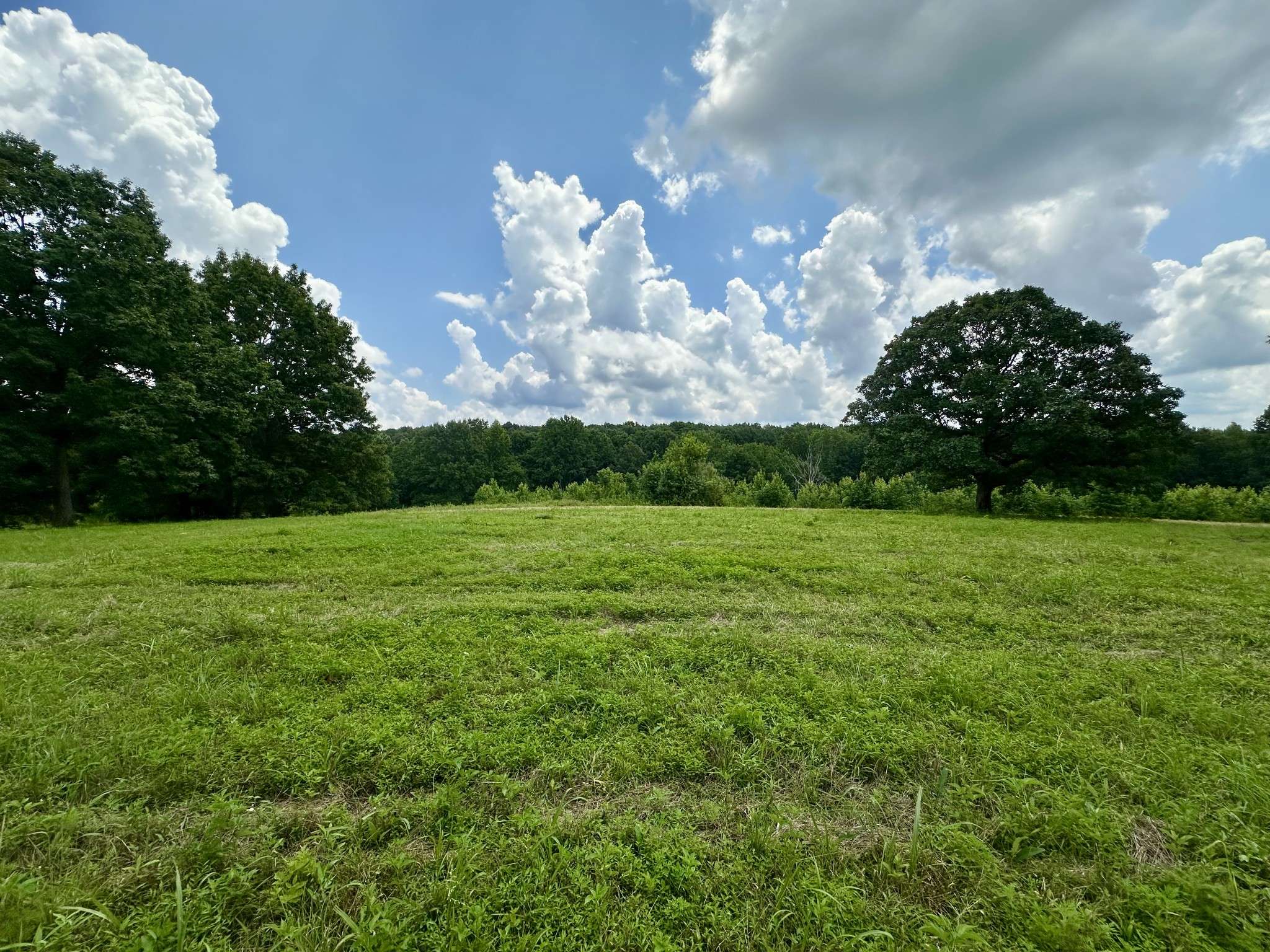 0 Darrell Rye Road, Erin, TN 37061