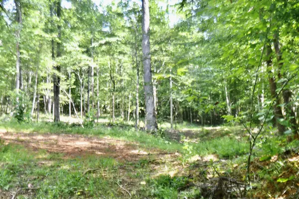 Hohenwald, TN 38462,0 Allens Creek Road