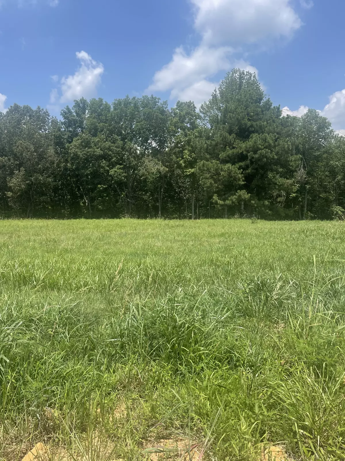 Winchester, TN 37398,0 Summerlake Ct