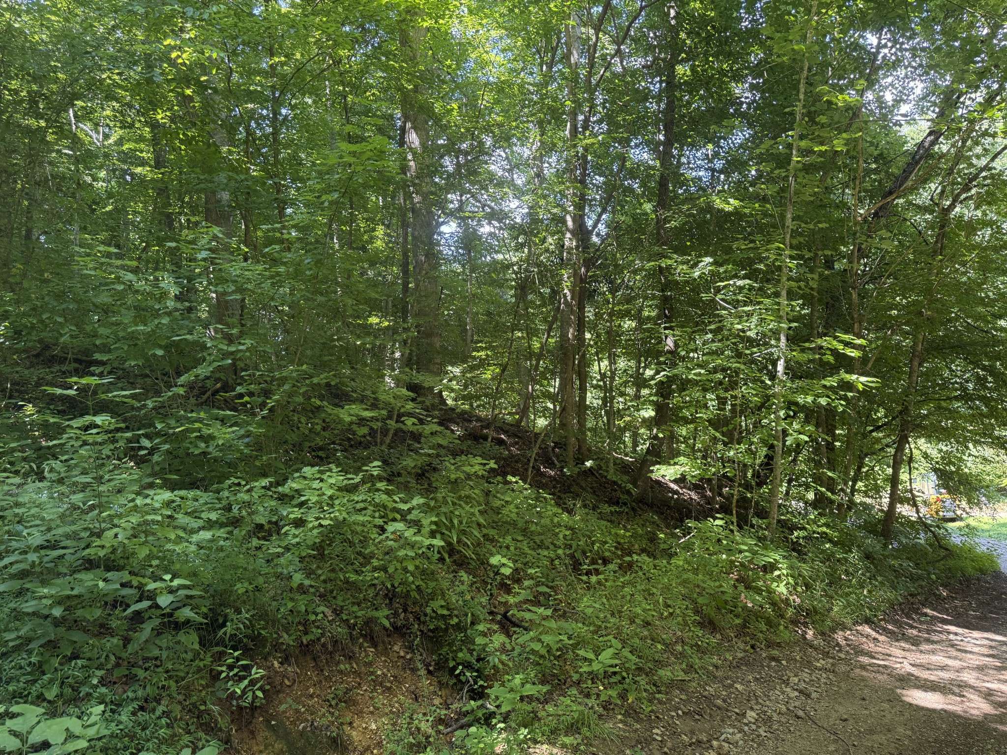 Dover, TN 37058,1 Countryside DR