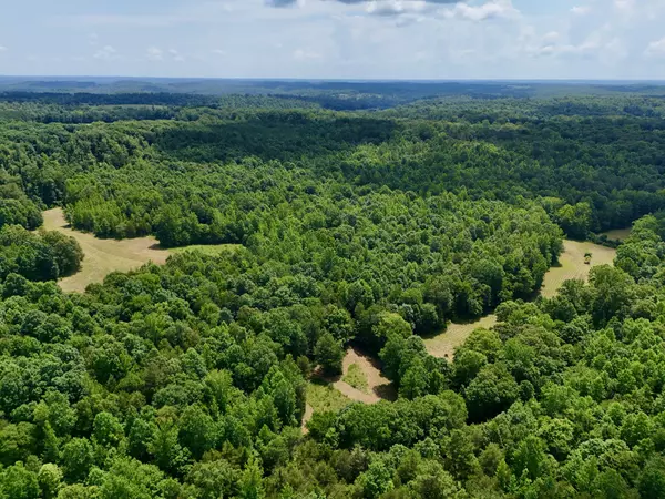 Decaturville, TN 38329,0 Largo Road