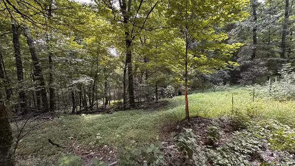 0 Poor Grab Rd, Petersburg, TN 37144