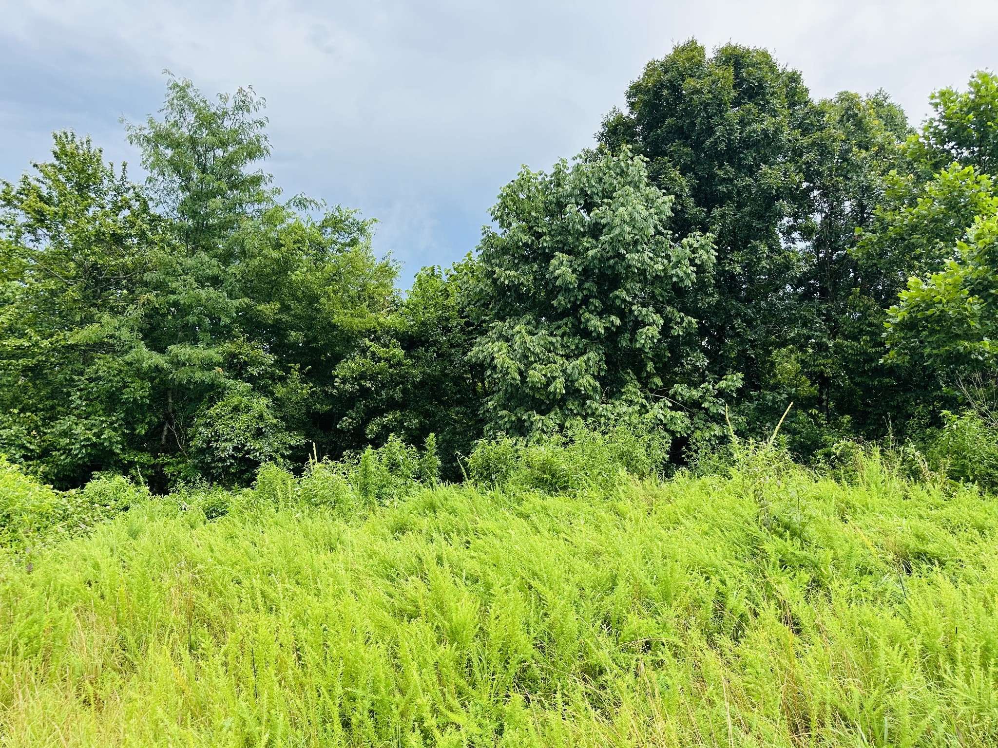 0 Topside Drive, Dover, TN 37058