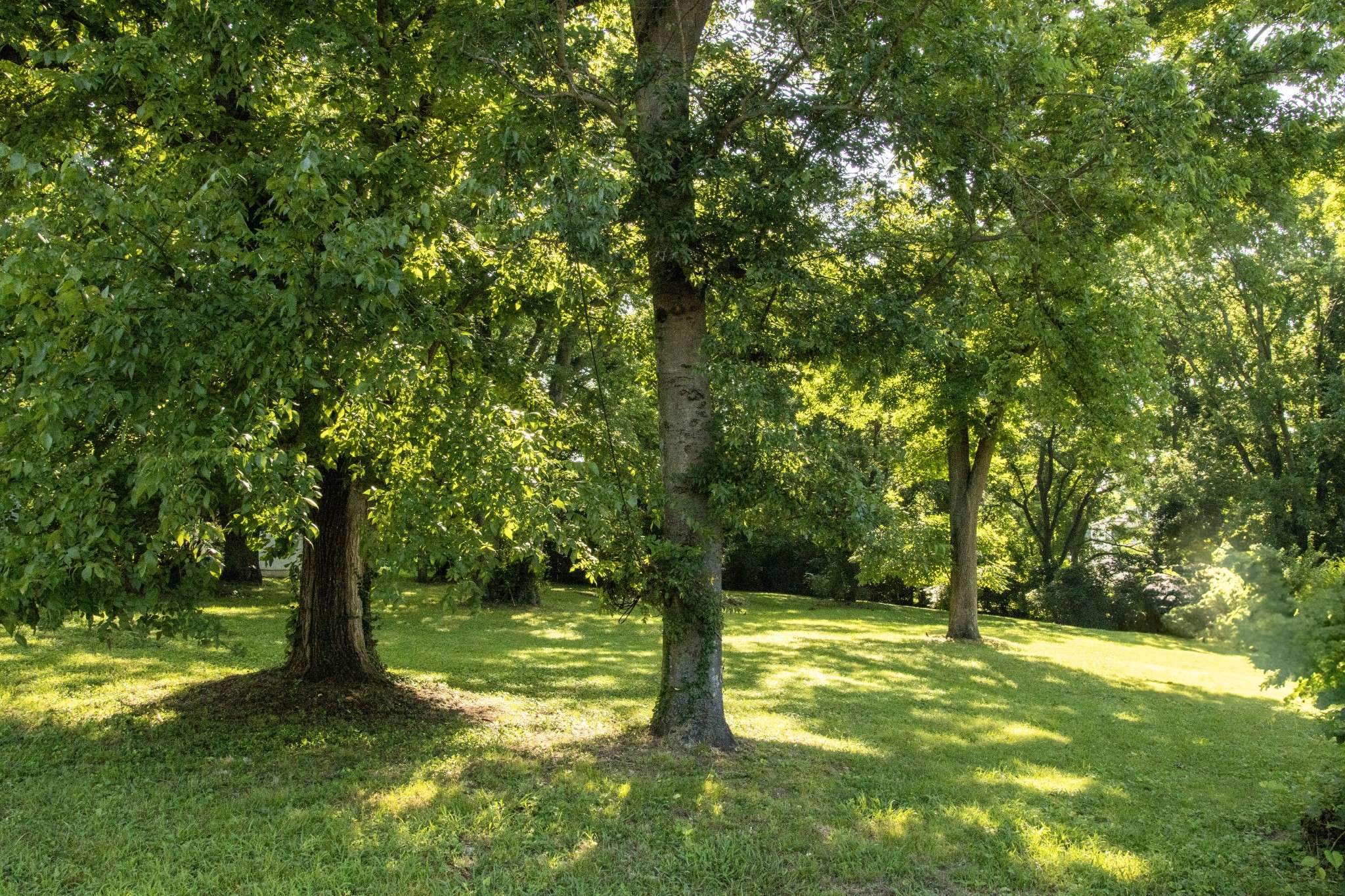 Madison, TN 37115,863 Argle Ave
