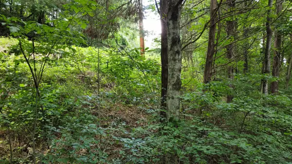 Smithville, TN 37166,0 Lakeside Dr