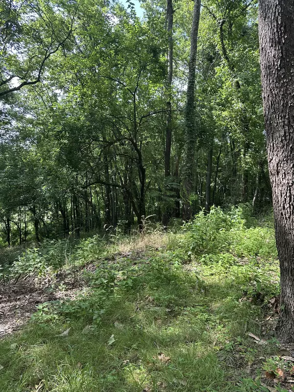 Columbia, TN 38401,322 Stoneybrook Rd
