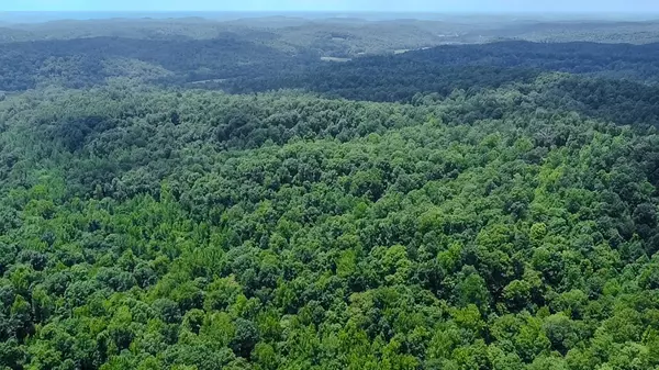 Linden, TN 37096,0 Buckfork Road