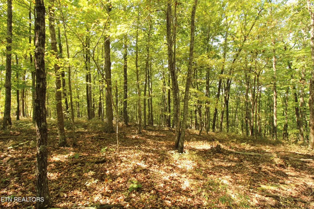 Crossville, TN 38558,323 Rotherham Drive