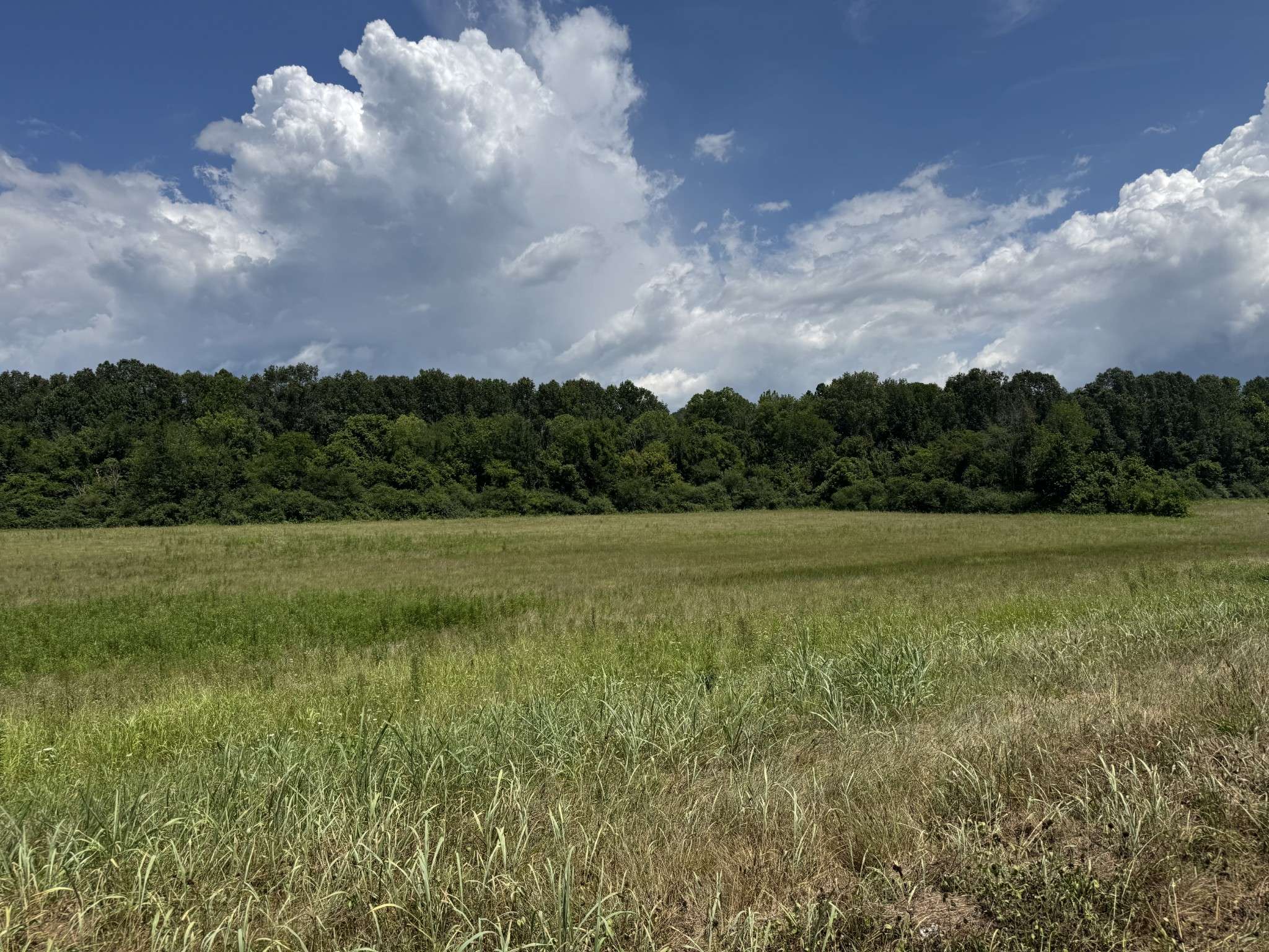 3473 N Grundy Quarles Hwy, Gainesboro, TN 38562