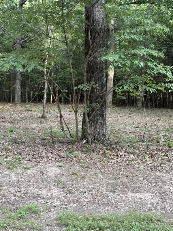 Burns, TN 37029,0 Iron Hill Rd