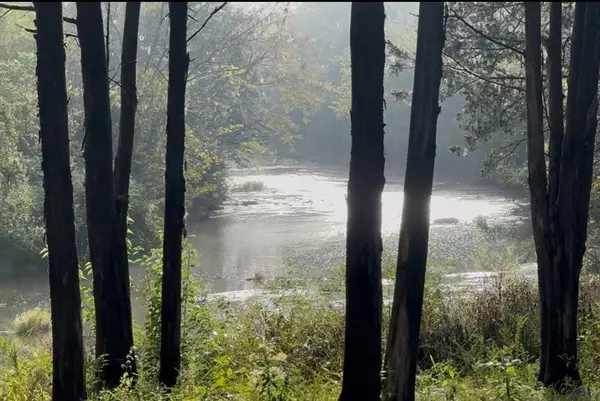 Lascassas, TN 37085,7200 Primrose Ln