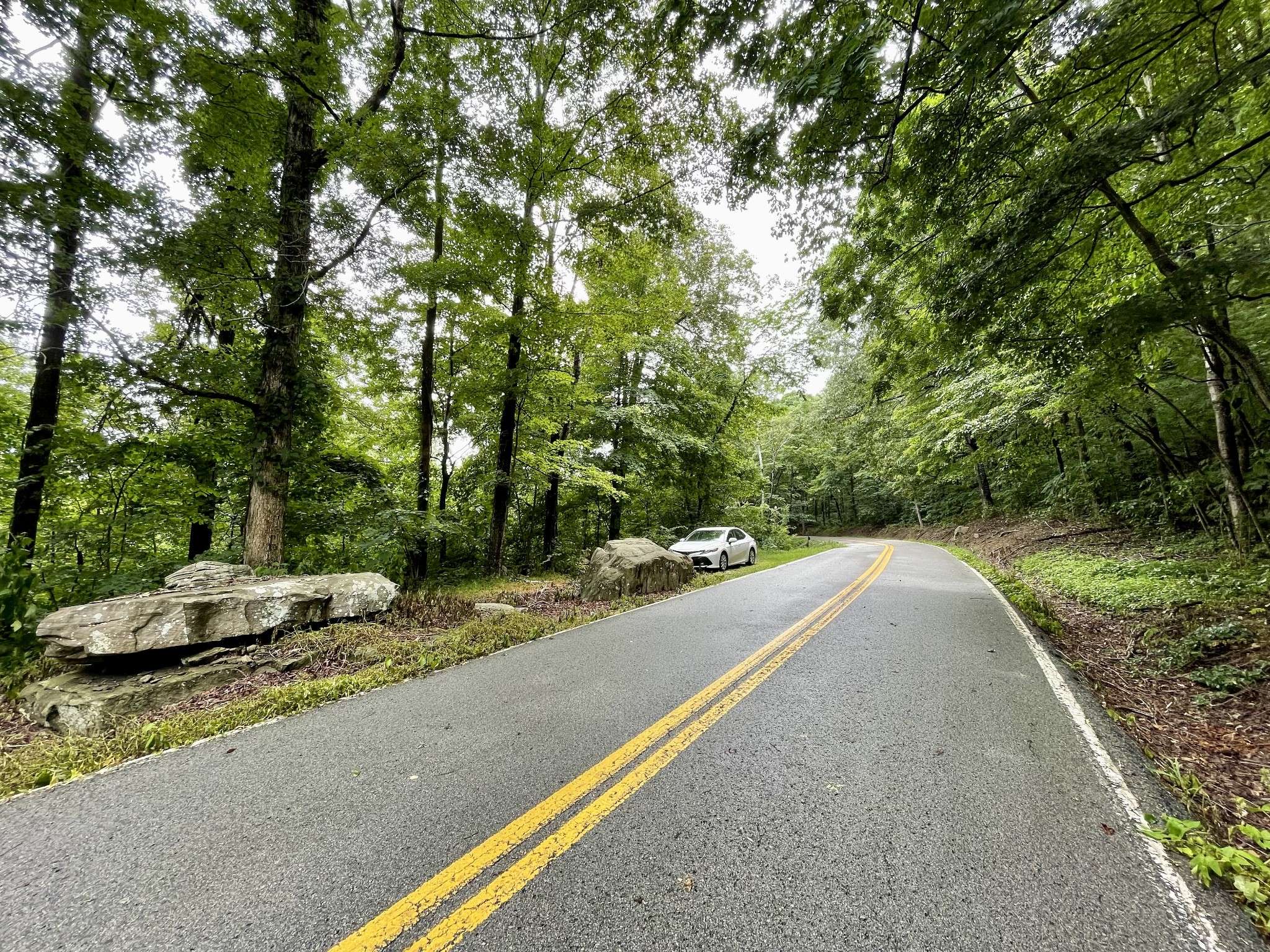 Monterey, TN 38574,1 Calfkiller Hwy