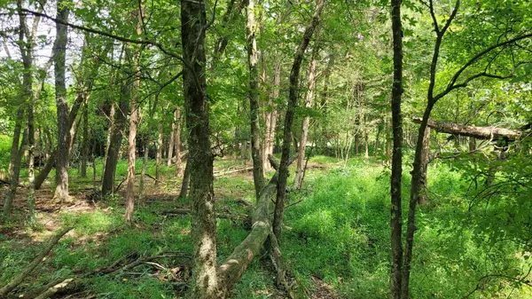 Shelbyville, TN 37160,3 Knights Campground Rd