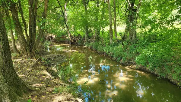 Shelbyville, TN 37160,7 Dixon Rd