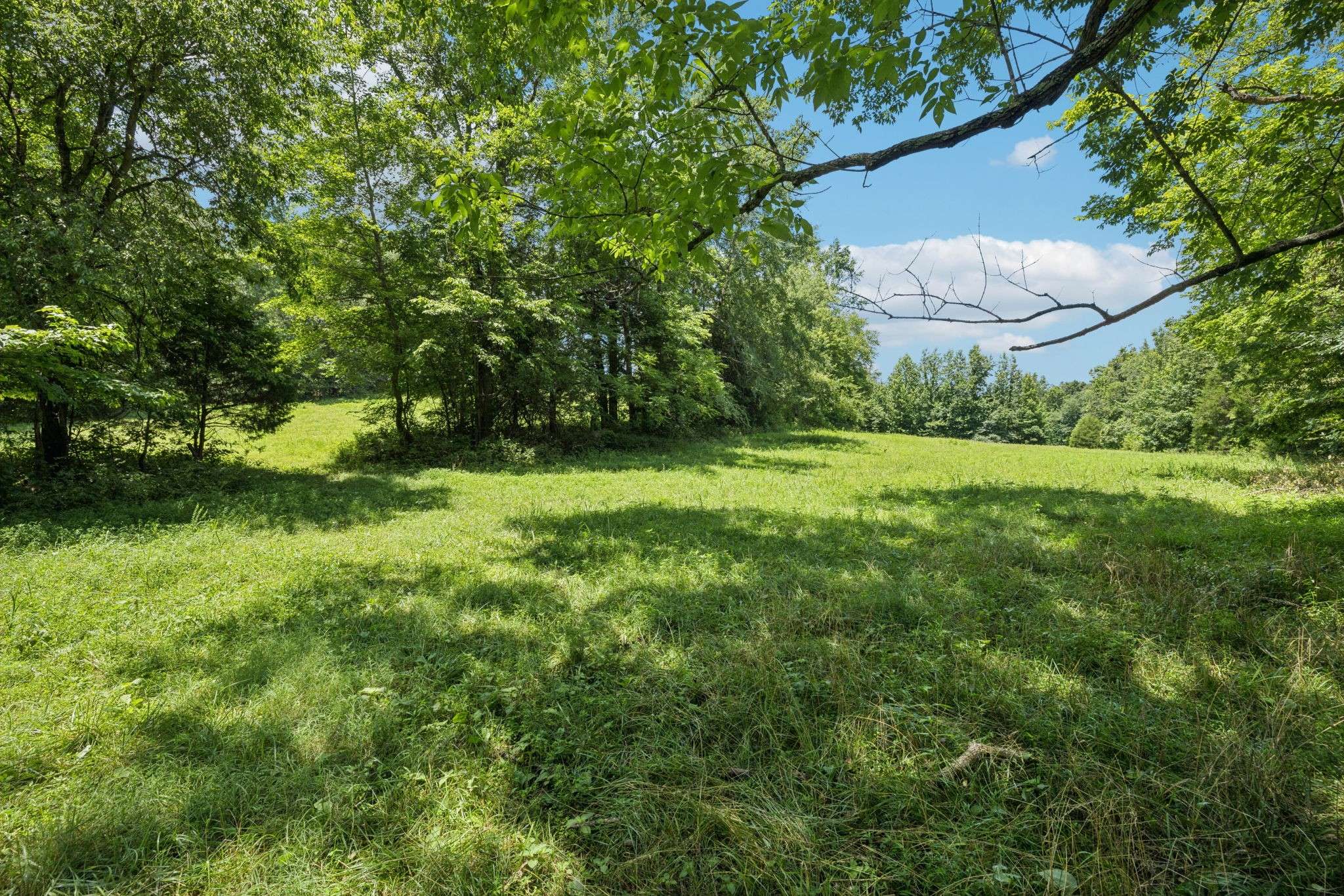Mc Ewen, TN 37101,0 Deer Creek Rd