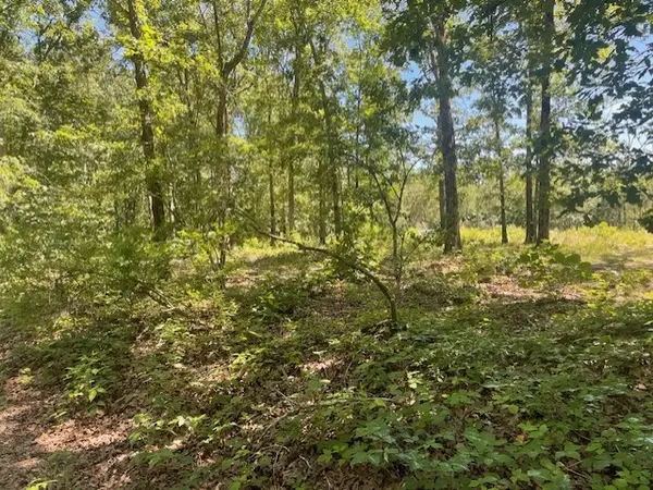 Eva, TN 38333,5597 Harmon Creek Rd