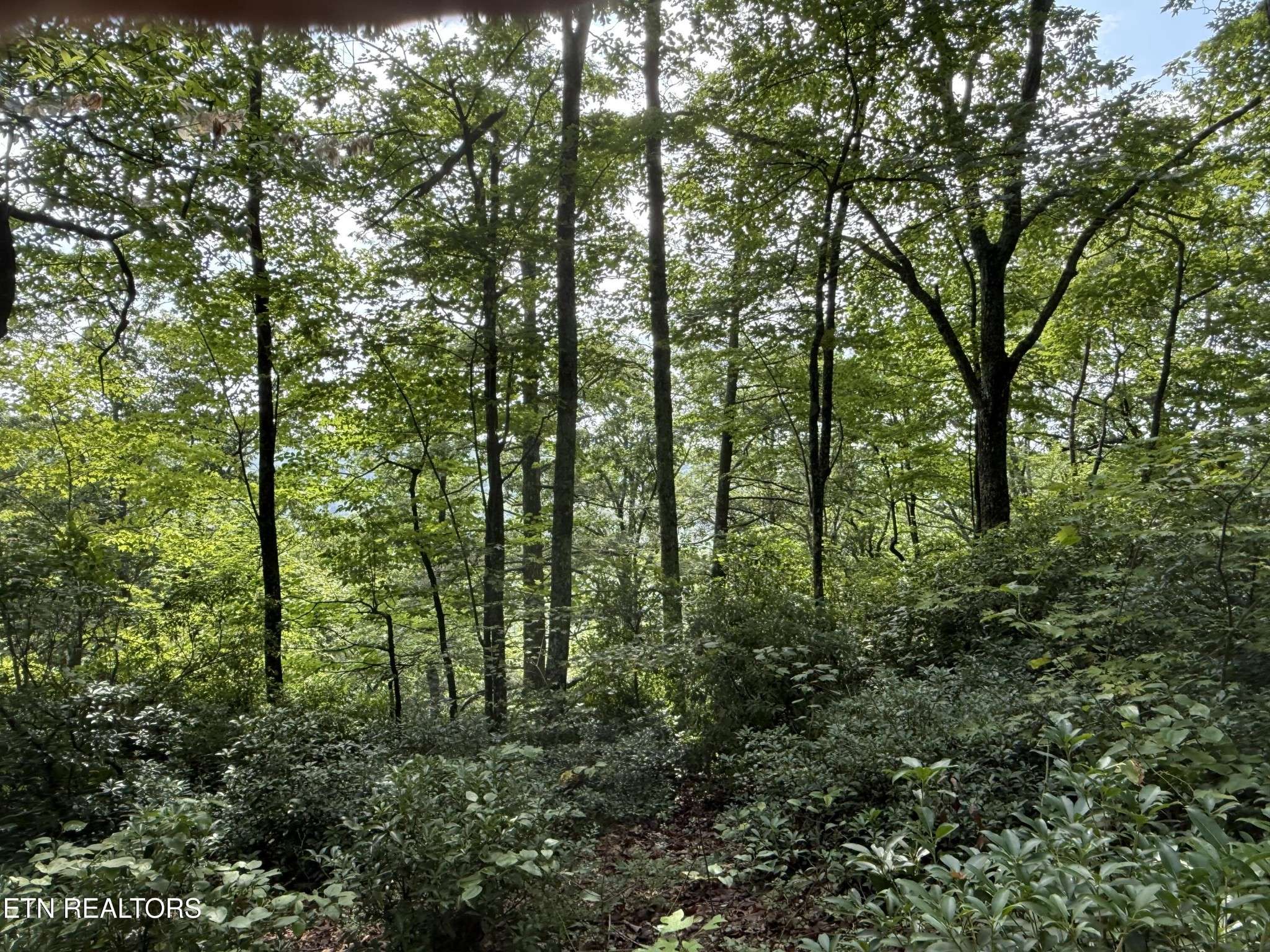 Monterey, TN 38574,855 Eastridge Pass