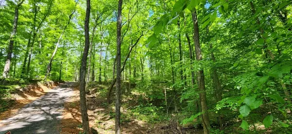 Lafayette, TN 37083,0 MagaMor Dr