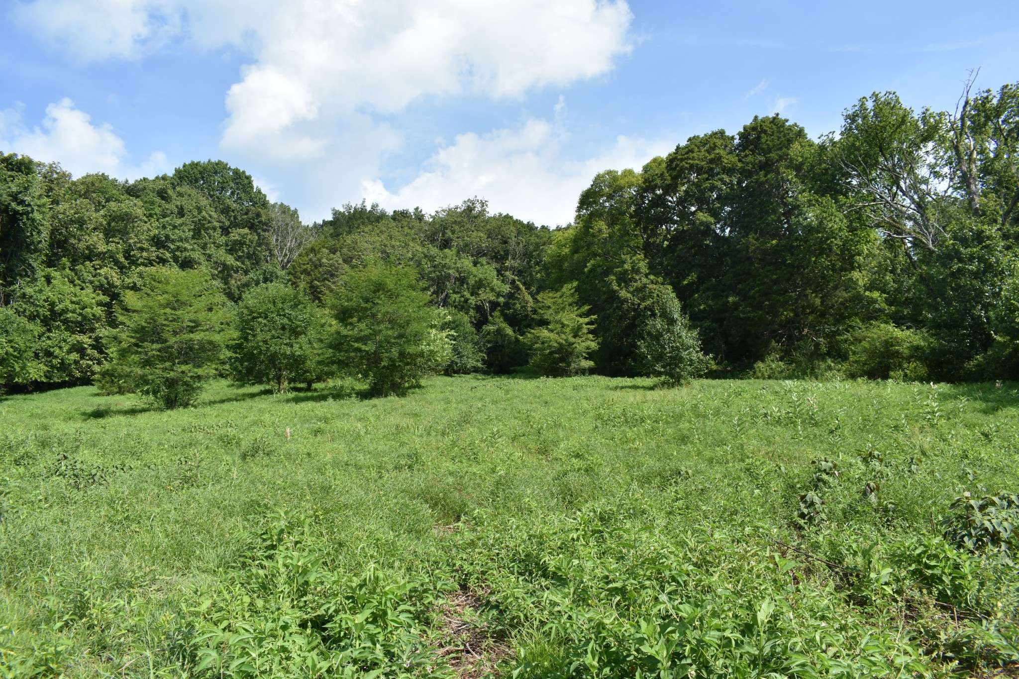 0 Hogans Creek Rd, Carthage, TN 37030
