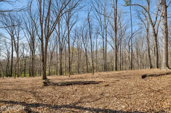 Loudon, TN 37774,1300 Old Sugar Limb Rd Rd