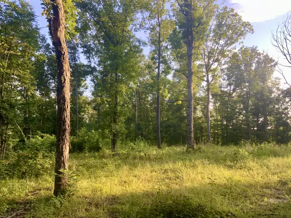 Dover, TN 37058,0 Wildlife Road