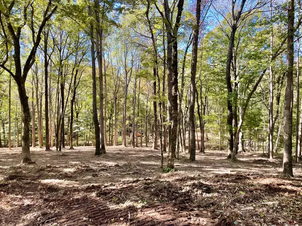 Clarksville, TN 37043,0 Harper