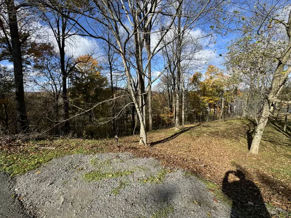 Smithville, TN 37166,0 Davidson Rd