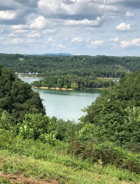 0 Bluebird Pt, Byrdstown, TN 38549