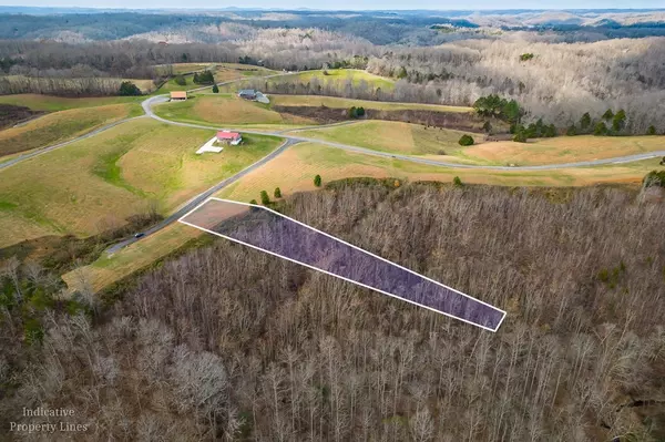 Byrdstown, TN 38549,0 Bluebird Pt