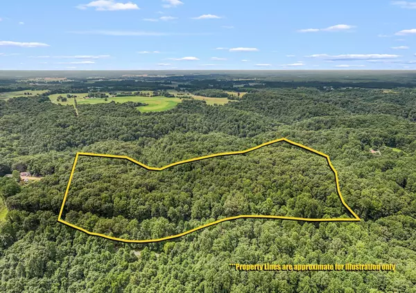 3950 Parchcorn Hollow Rd, Woodbury, TN 37190