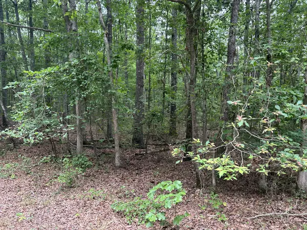 Altamont, TN 37301,170 Deer Run Loop