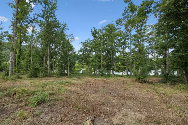 Nolensville, TN 37135,1411 Bell Meadow Ct