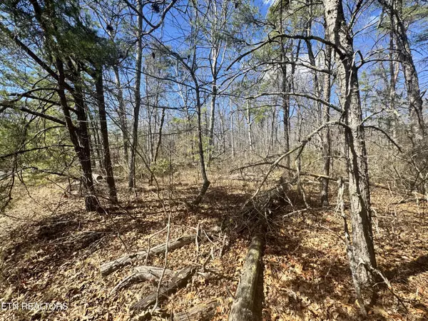 Monterey, TN 38574,0 Divide Tr